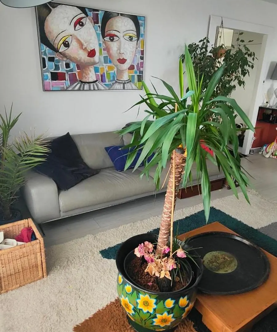 Apartment Appartement Avec Grande Terrasse Le Blanc-Mesnil France